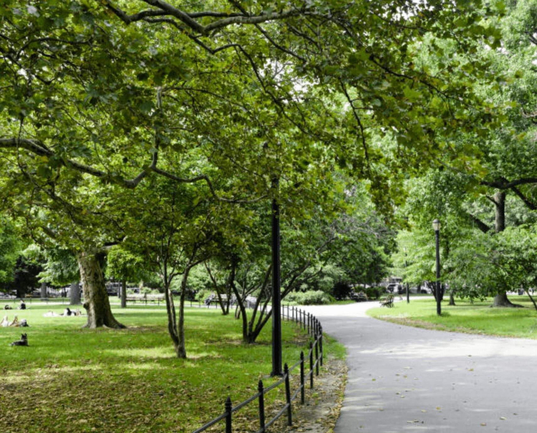 New York Park